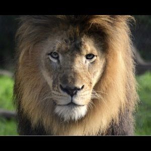 Meet your Posher, Caden